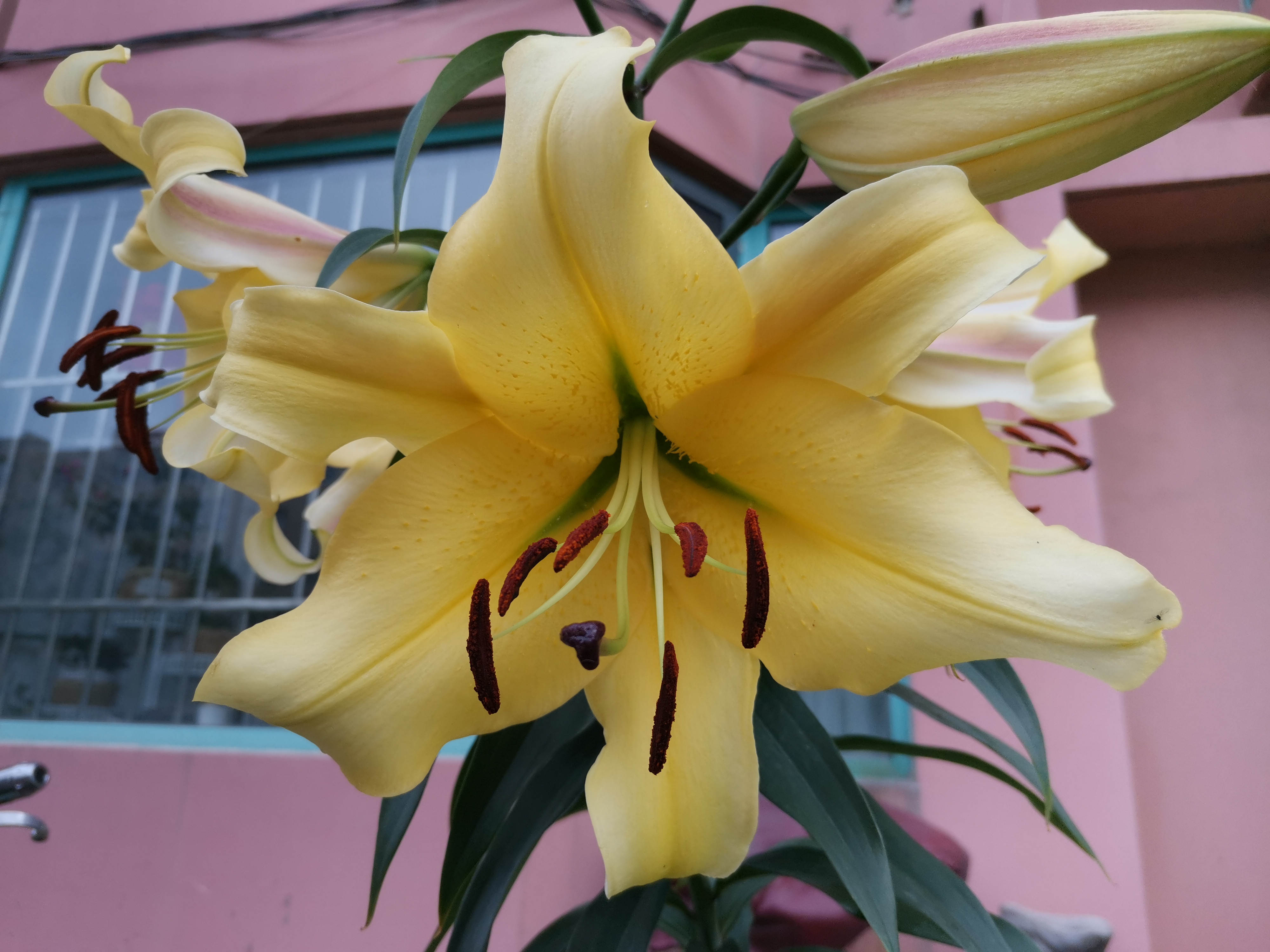 我的一段恋爱经历,回忆我的恋爱经历