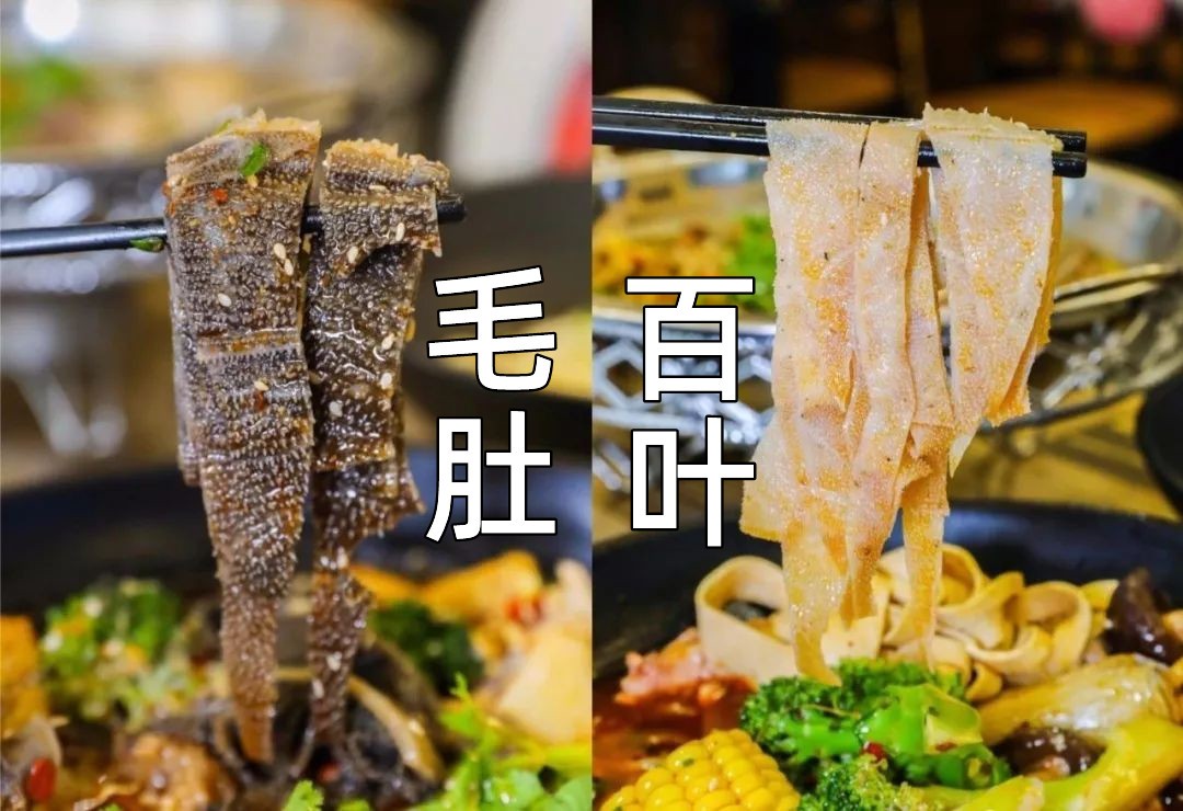 毛肚是不是百叶,毛肚是不是就是牛肚