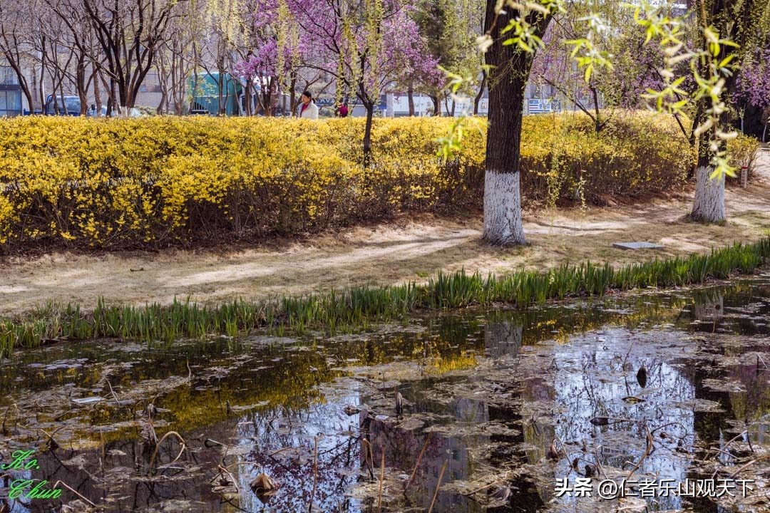 丧家的资本家乏走狗原文,丧家的资本家乏走狗指的是谁