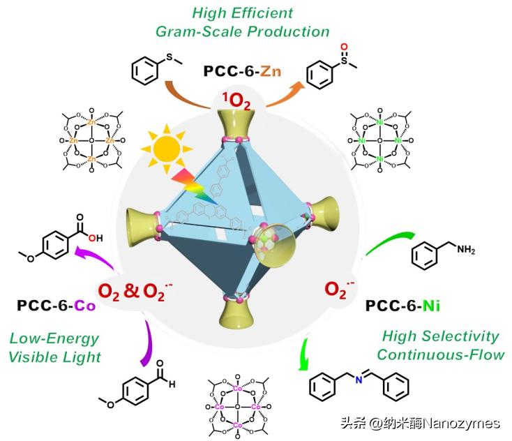 【转载】Angew.Chem.|分子笼调控活性氧物种模拟酶的特异性