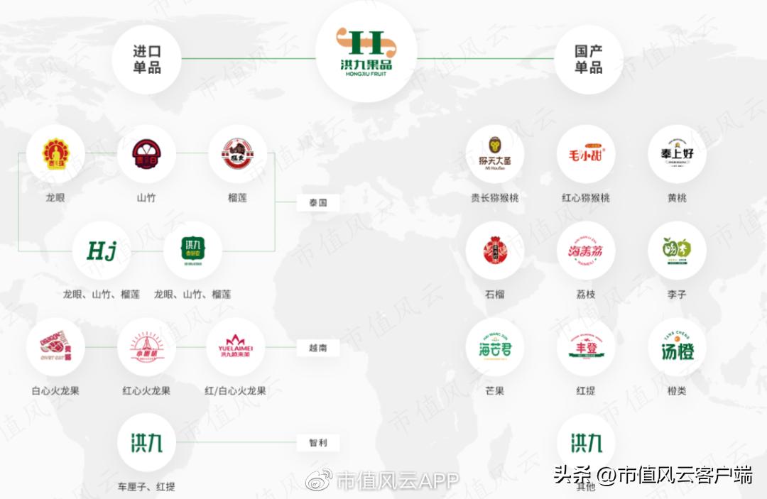 洪九果品是水果行业第一吗,洪九果品能否成为行业破局者