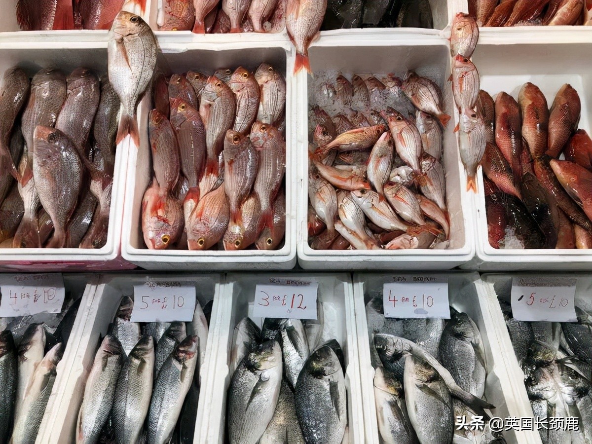 在英国怎么在网上买东西,英国海鲜刺身哪里买