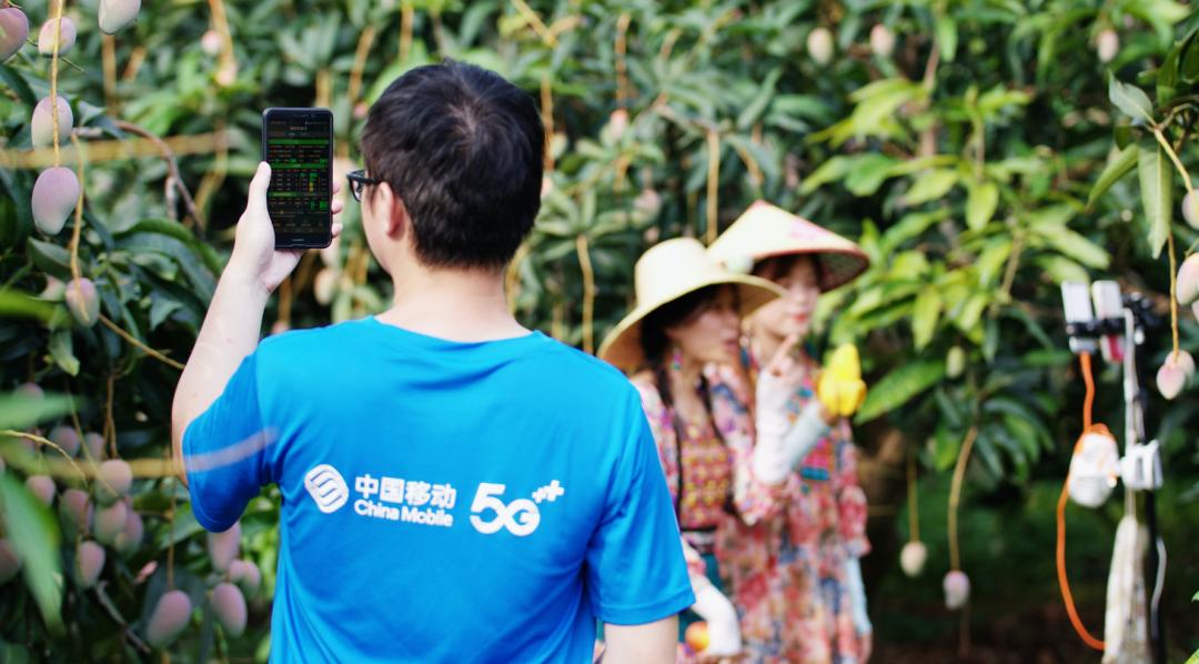 悬念揭晓在即,悬念揭晓视频