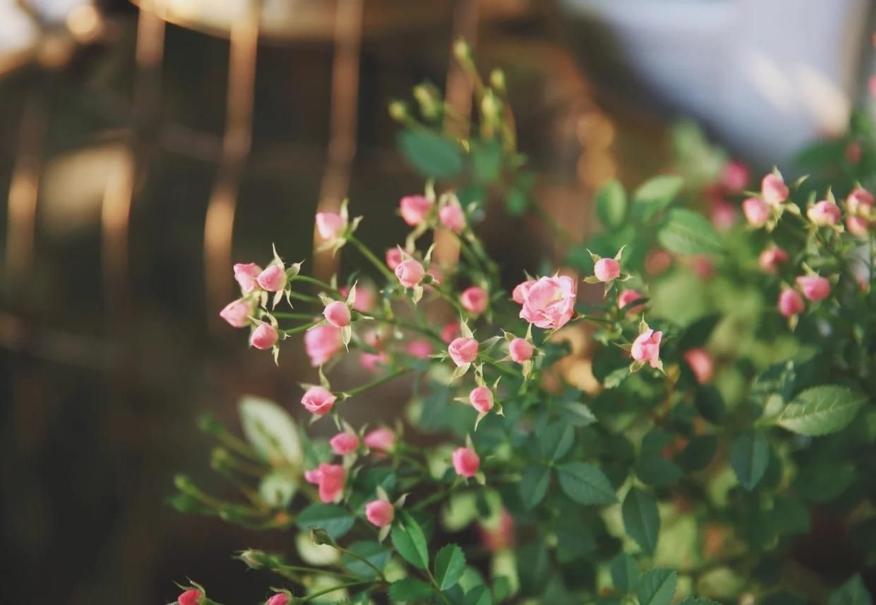 这10首诗词胜过你今年读过的鸡汤,五千年来最有哲理12句诗词太经典