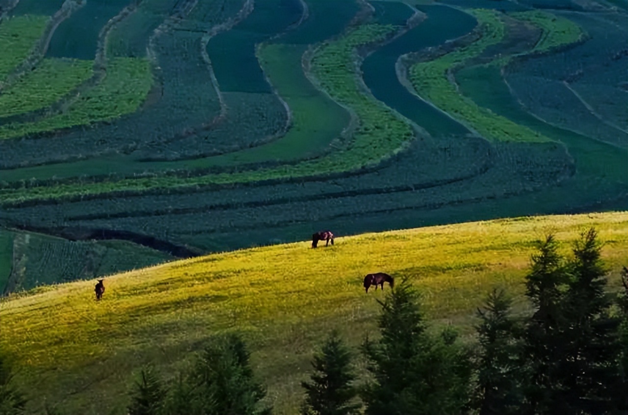张北草原天路风景,张北草原天路路线