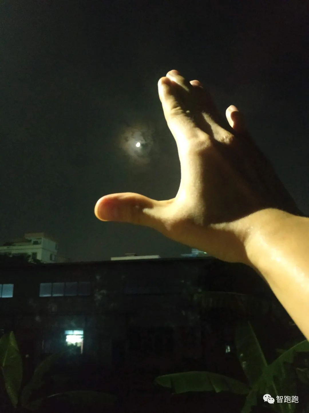 常玉孤独得像原图,常玉孤独的象卖了吗