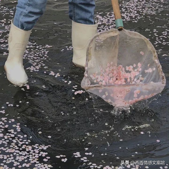 关于坚守的座右铭名言警句,坚守平凡岗位座右铭