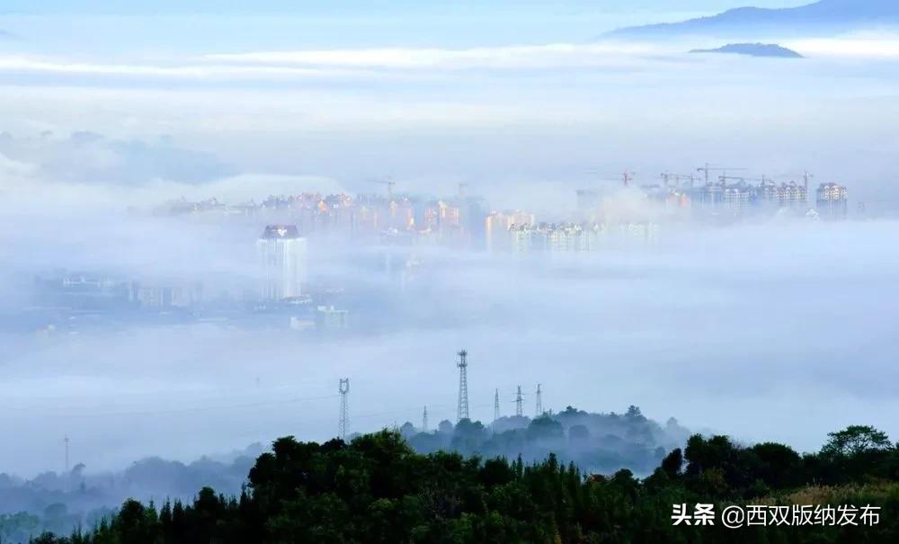西双版纳勐海普洱茶乡,云南西双版纳勐海茗城
