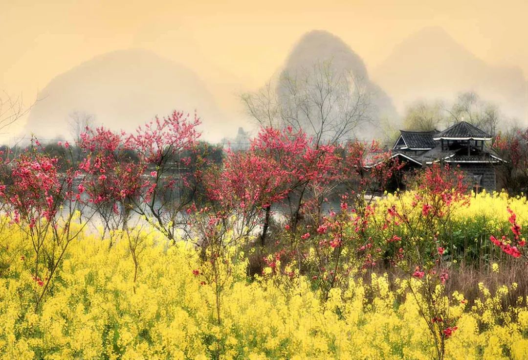 5月底桂林梯田摄影,桂林阳朔山水风光摄影团攻略