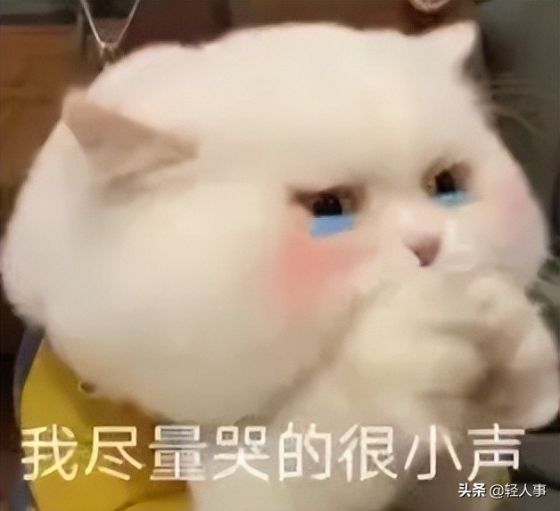 跑柜面可看！成都各区域线下办理指南