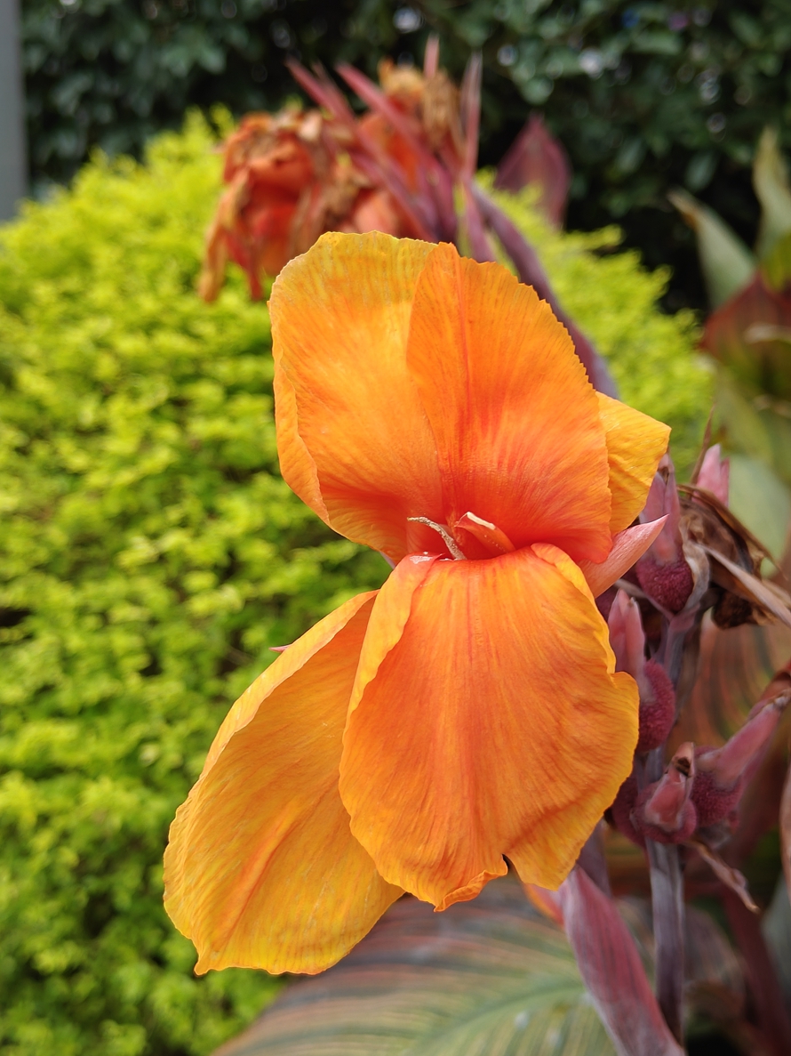 gt5手机测评,真我gt5手机评测