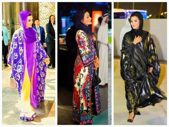 卡塔尔王妃上位史,卡塔尔王妃的视频