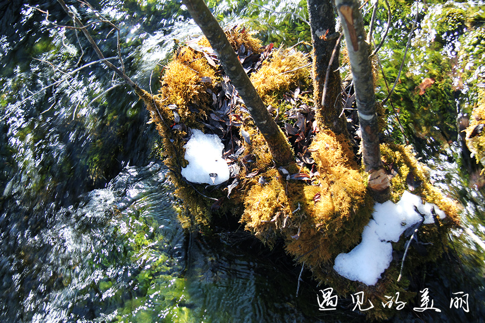 如果一生只去一个古城,一生去一次九寨沟