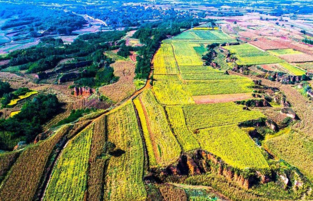 晋味美沁州黄小米怎么样,沁州黄小米10斤装多少钱