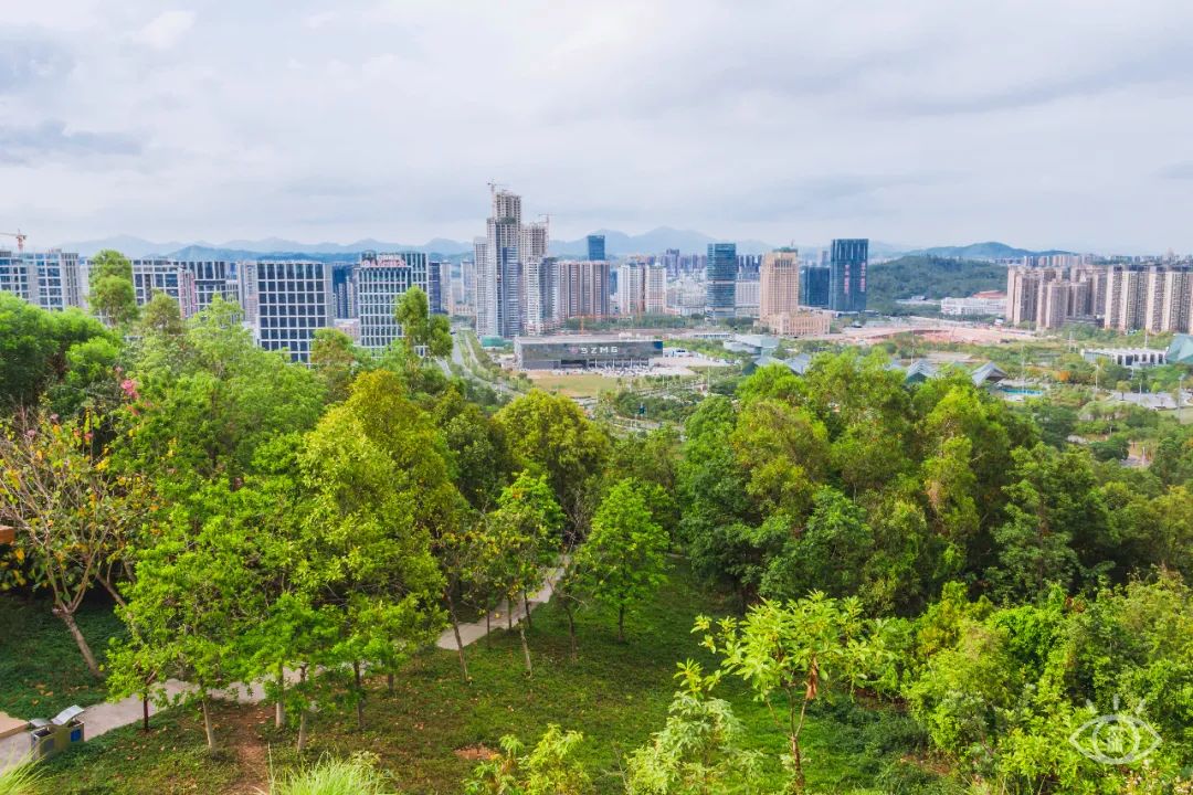 4号线值得逛的地方,16号线的游玩攻略