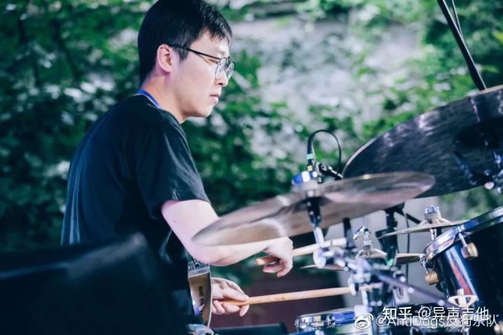 斑鸠的五种常见叫声,疫情下我学会了什么技能