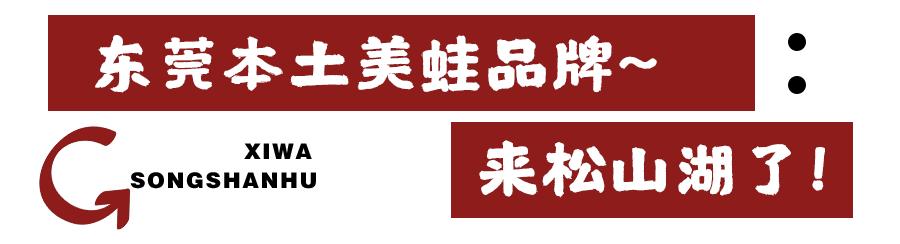 松山湖万象汇牛蛙团购,东莞牛蛙店