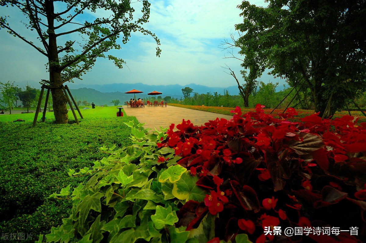 带花的诗句飞花令500首完整版,飞花令带绿的诗句100句很简单的