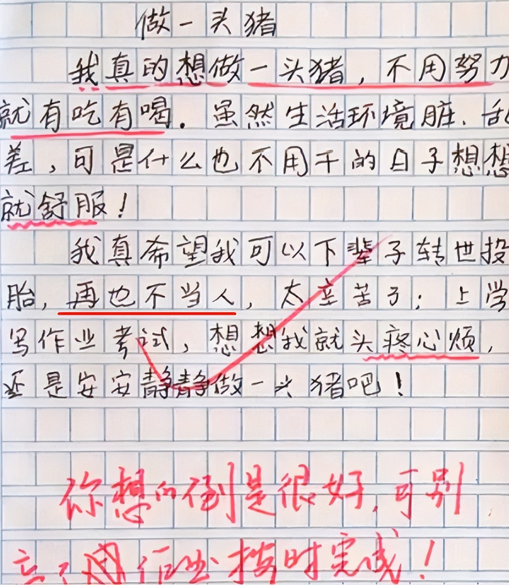小学生作文我的妈妈范文,作文我的妈妈描写妈妈容貌和神态