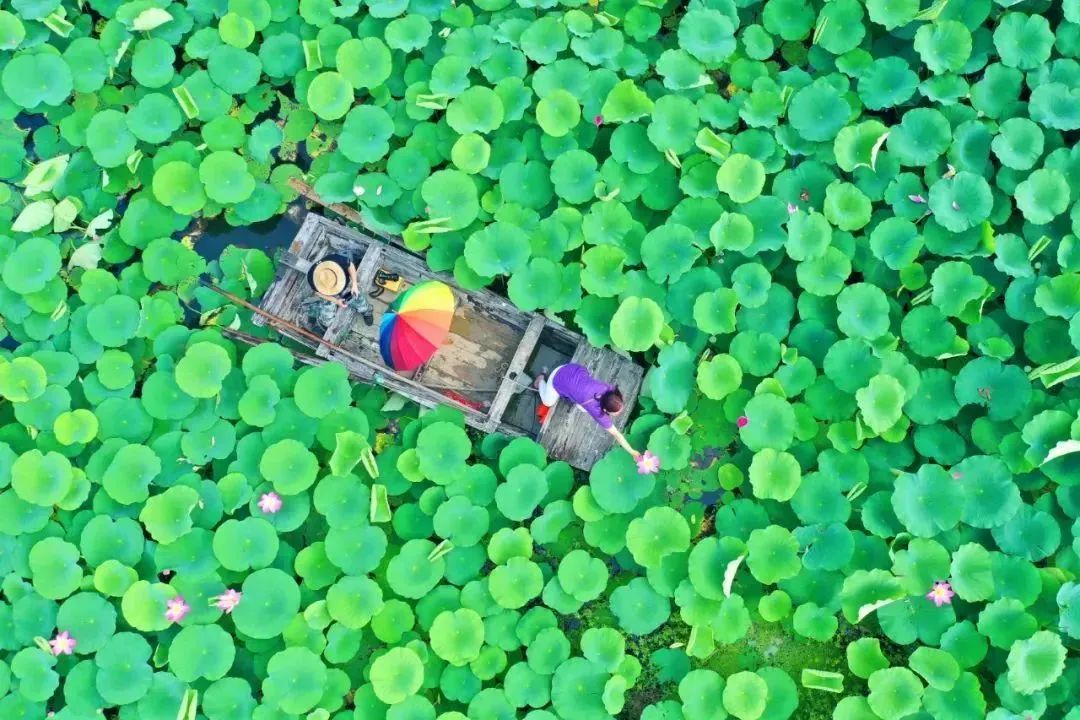 济宁五一假期玩什么,这个五一去哪玩济宁