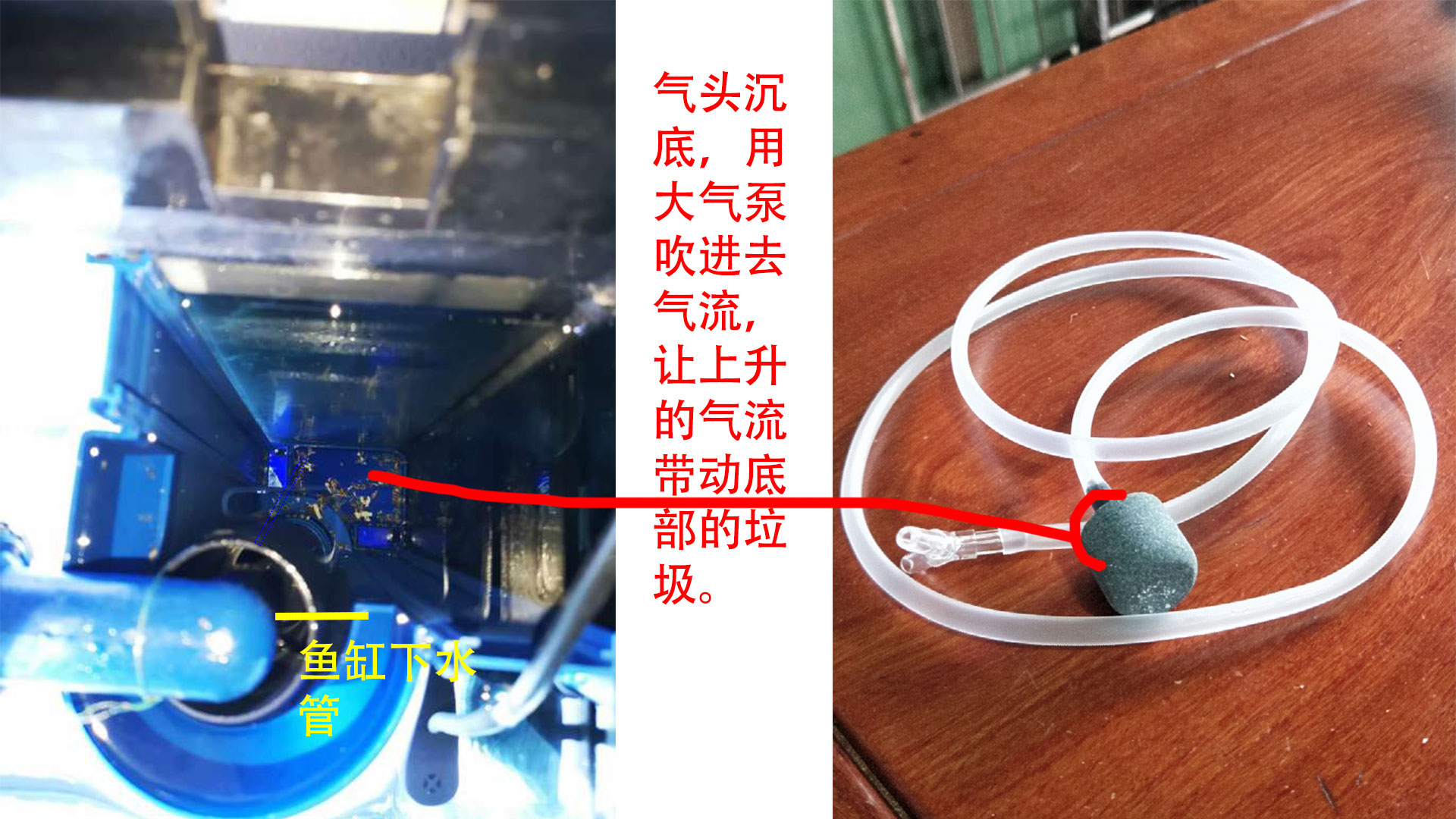 森森底滤鱼缸溢流区怎样清理,森森鱼缸溢流区藏粪