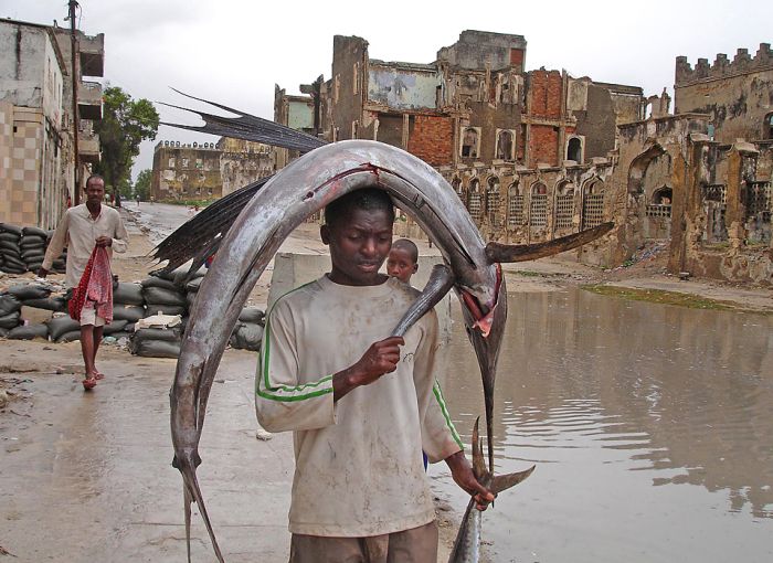 80个神奇的真实照片，不高兴的狗子，崎岖的铁路，倒立劈叉拉筋
