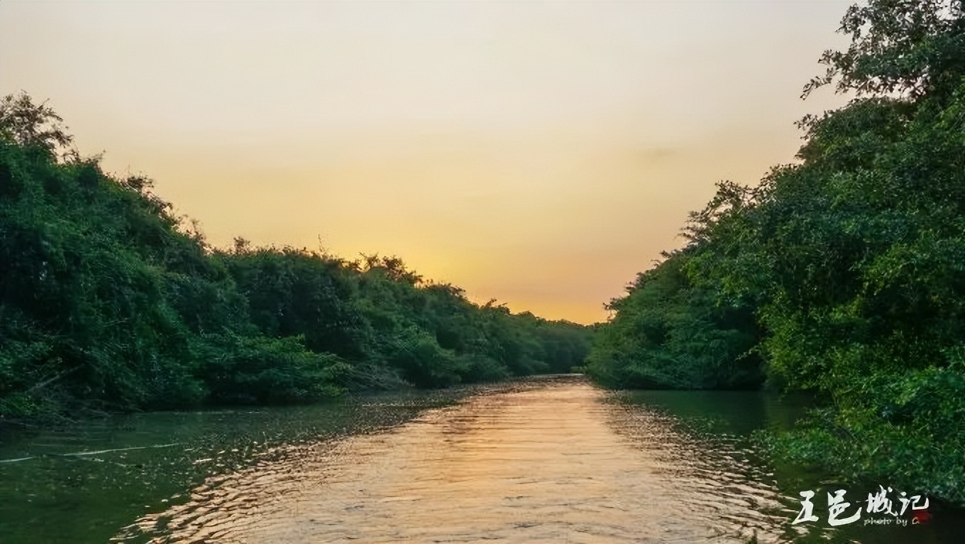 开年《狂飙》的江门，为什么传统且洋气？