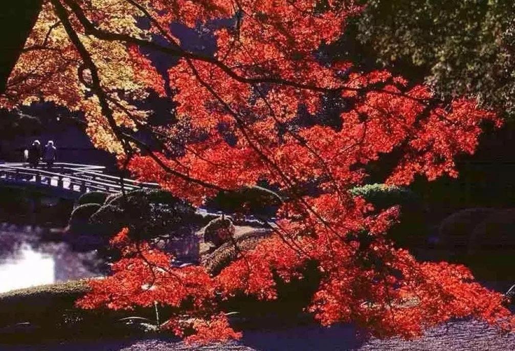 北京必去的30个赏秋地点,赏秋京城内外高颜值秋景大盘点