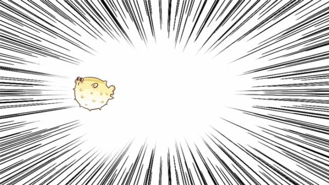 滋补甲鱼锅图片,招牌滋补河豚