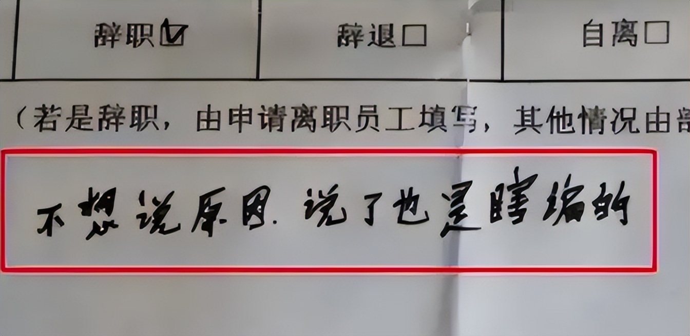 00后辞职信走红90后感慨自己老了,毕业生辞职信走红网友太有个性