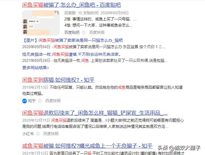 家庭养猫如何繁殖挣钱,养猫繁育能赚回成本吗