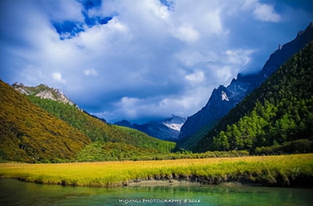 新冠肺炎历史每日数据,新冠肺炎历史全集