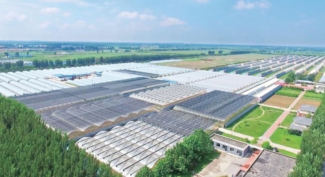 北京种业发展规划,北京打造种业之都对种业的影响