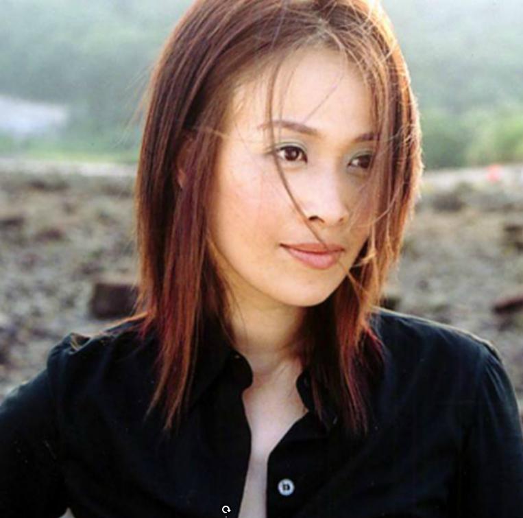 那英与孟桐哪一年结婚的,那英喜欢孟桐还是高峰