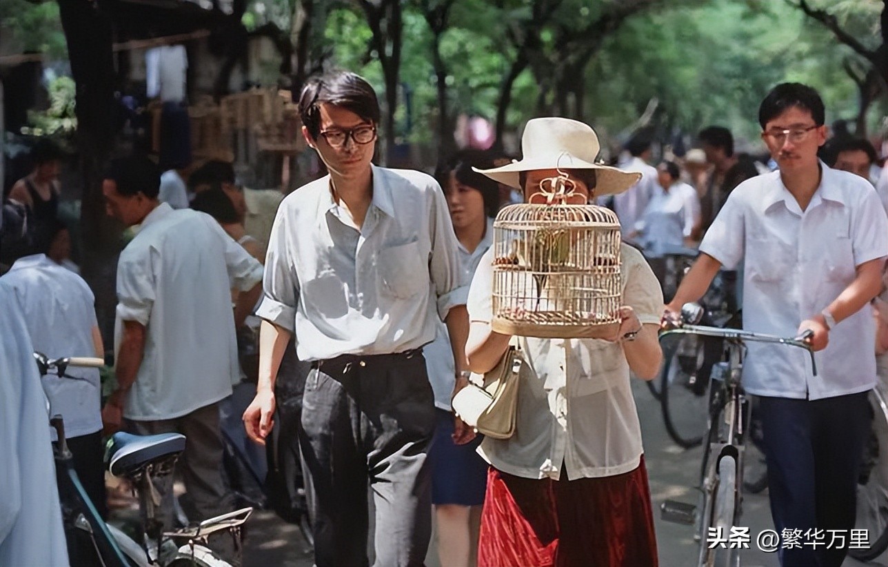 德阳市区划调整最新版,四川德阳市区域划分