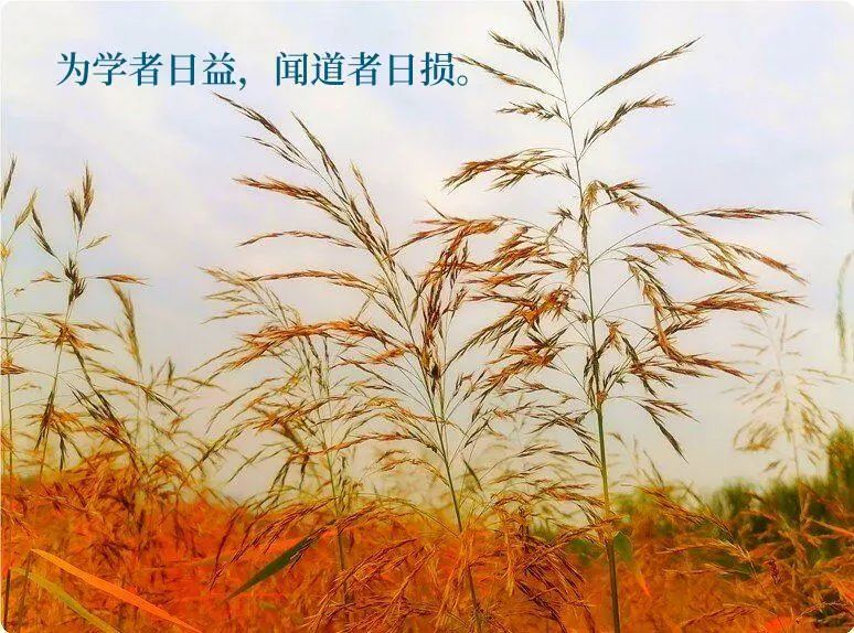 涓崕浼犵粺浜斿痉淇韩鏂囧寲,涓浗浼犵粺浜斿痉淇韩鏂囧寲