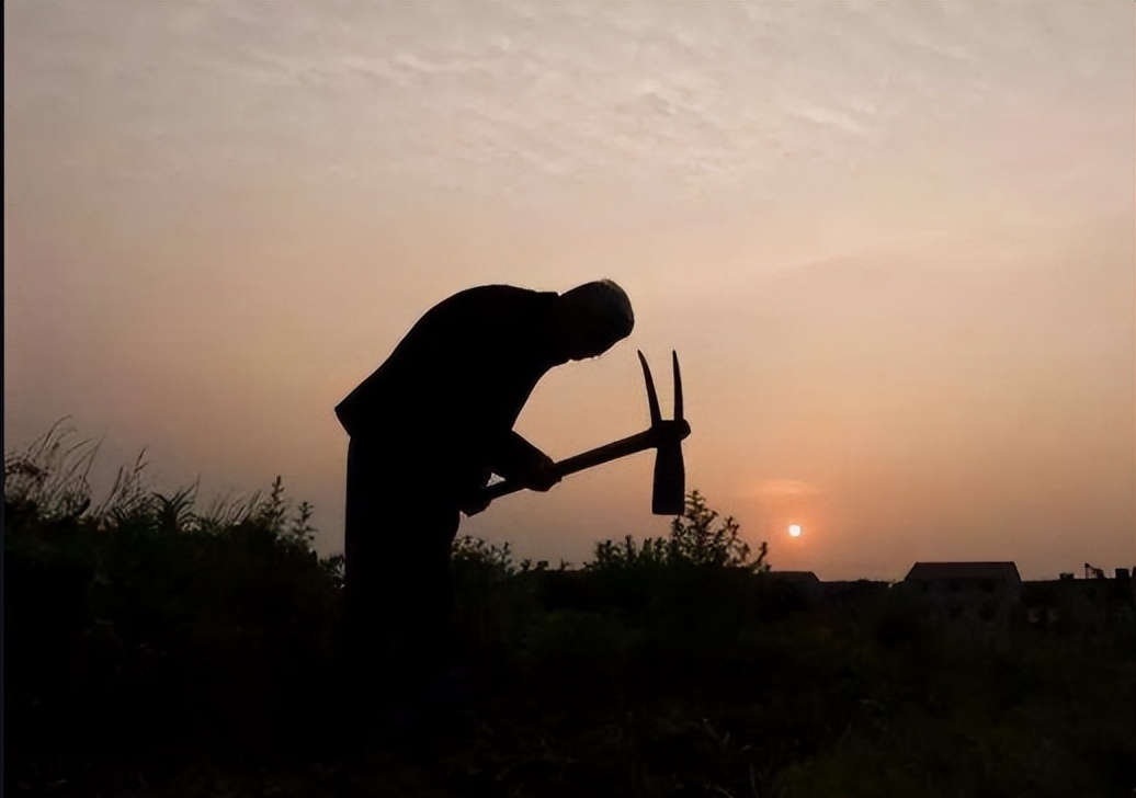 2011年，医学博士11天捐精5次猝死，父亲索赔400万,后来怎样了？