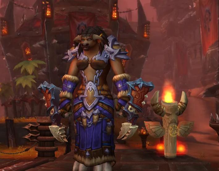 魔兽世界：TBC牧师怎样才能控制蓝量？做好自己的任务，别乱插手