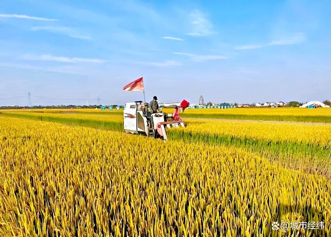 全国产粮大省排名榜,全国各省产粮大省排名