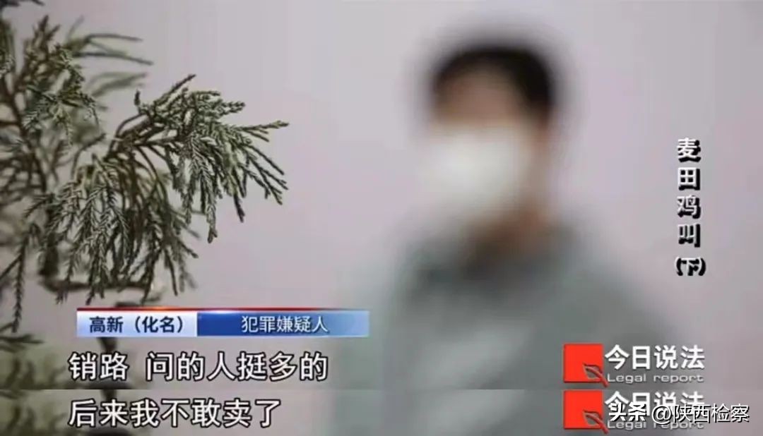 非法弹弓狩猎案,弹弓非法狩猎案视频