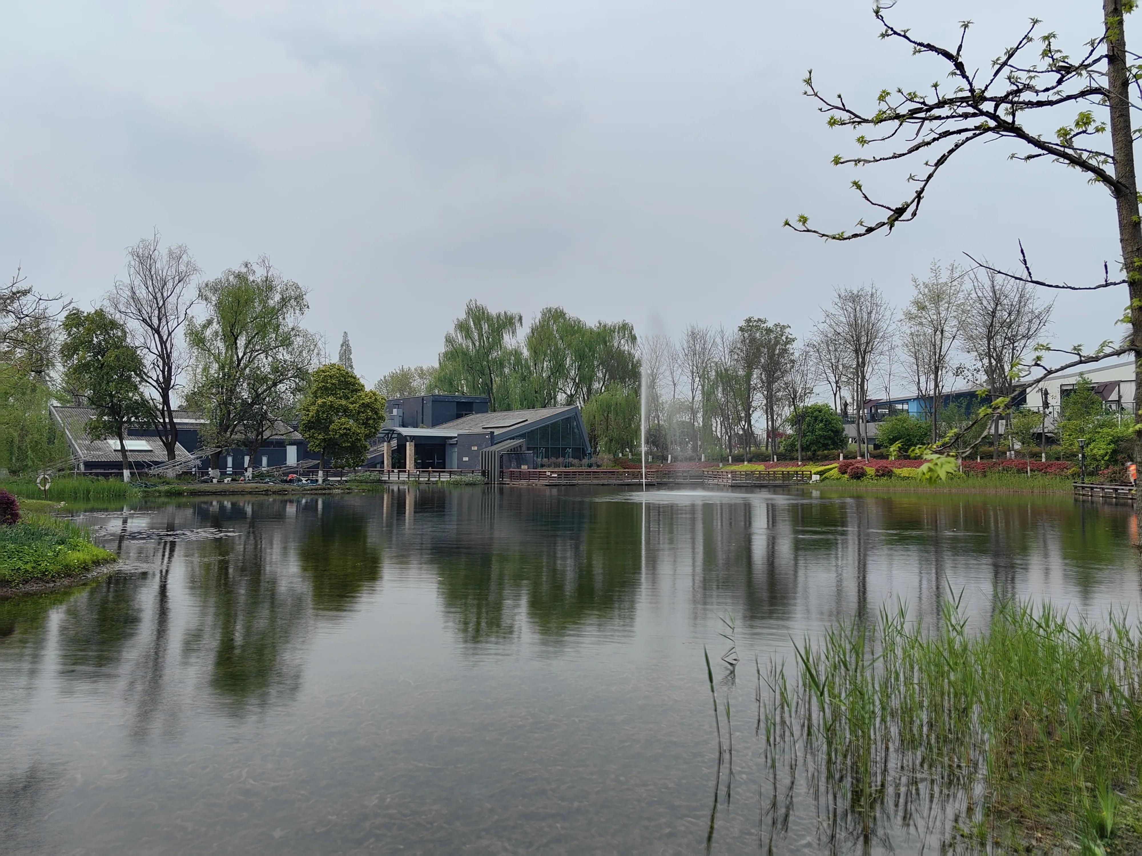 华为P60PRO入手拍照测试