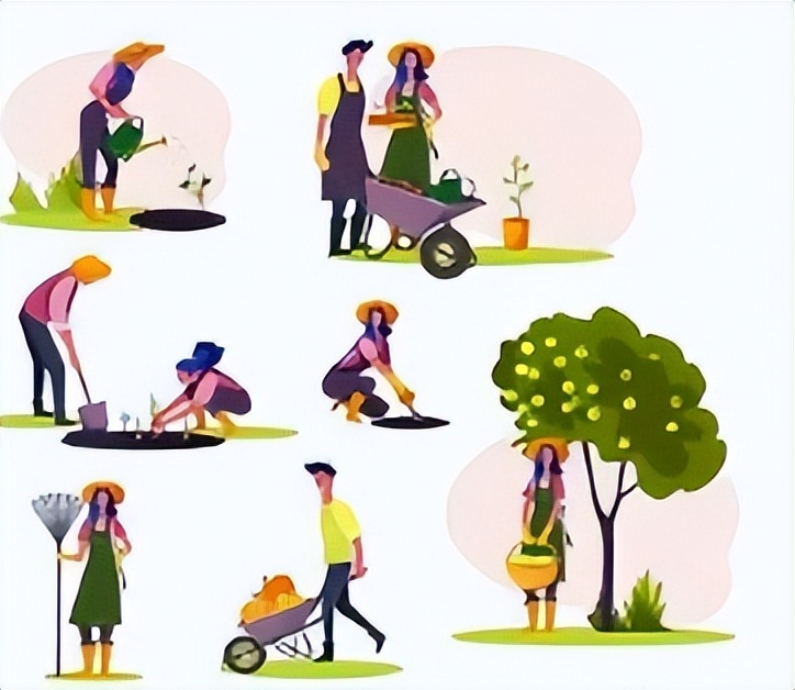 榉树价格下降,榉树价格涨了还是跌了