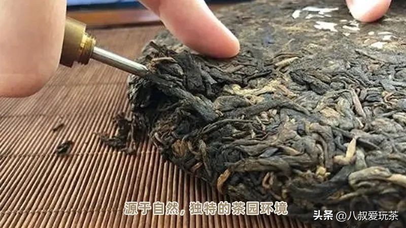 老班章为啥便宜,勐乐山49号老班章真的贵吗