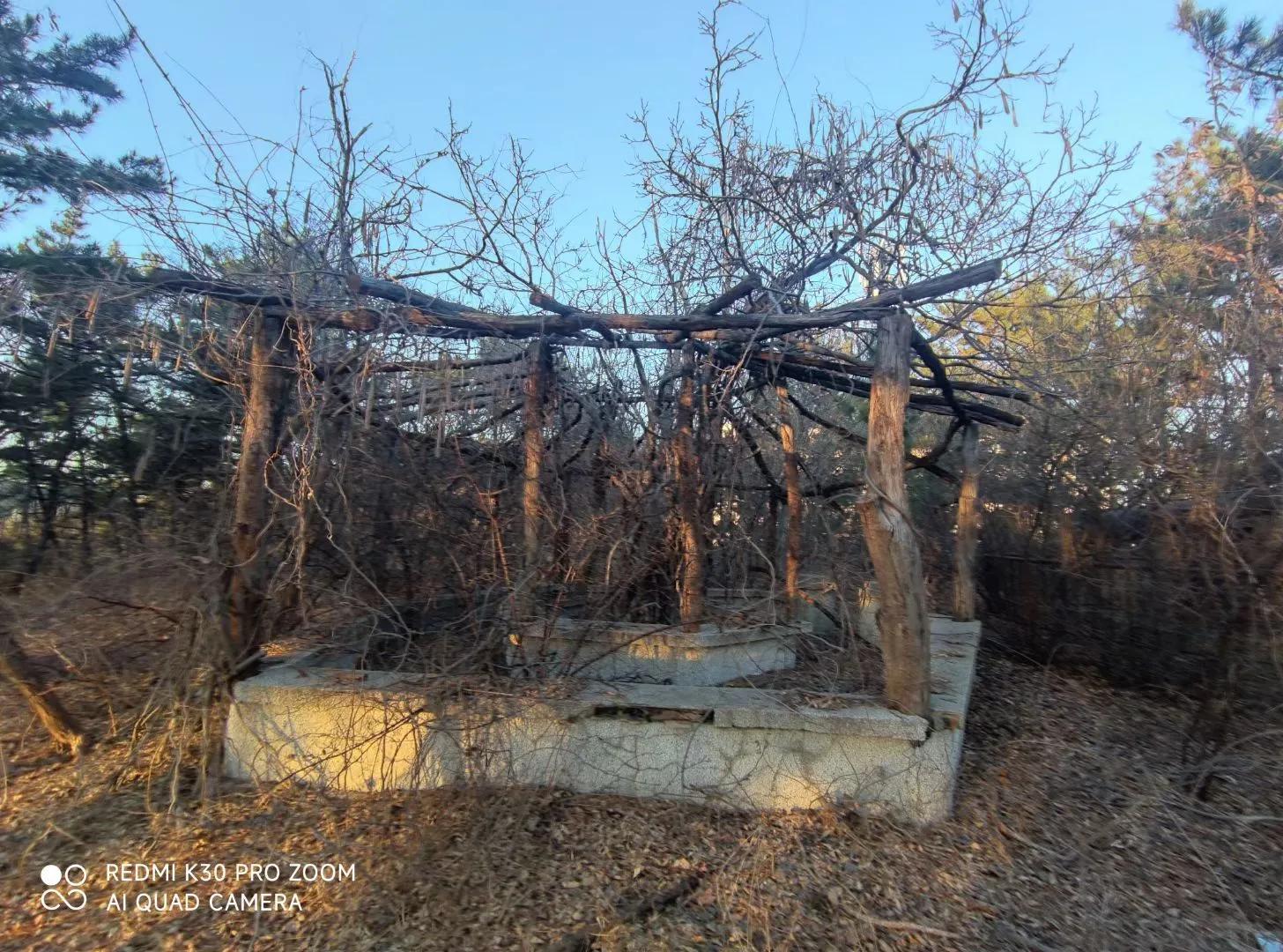 万里海疆千舰竞渡,大连老虎滩海洋公园军舰图片