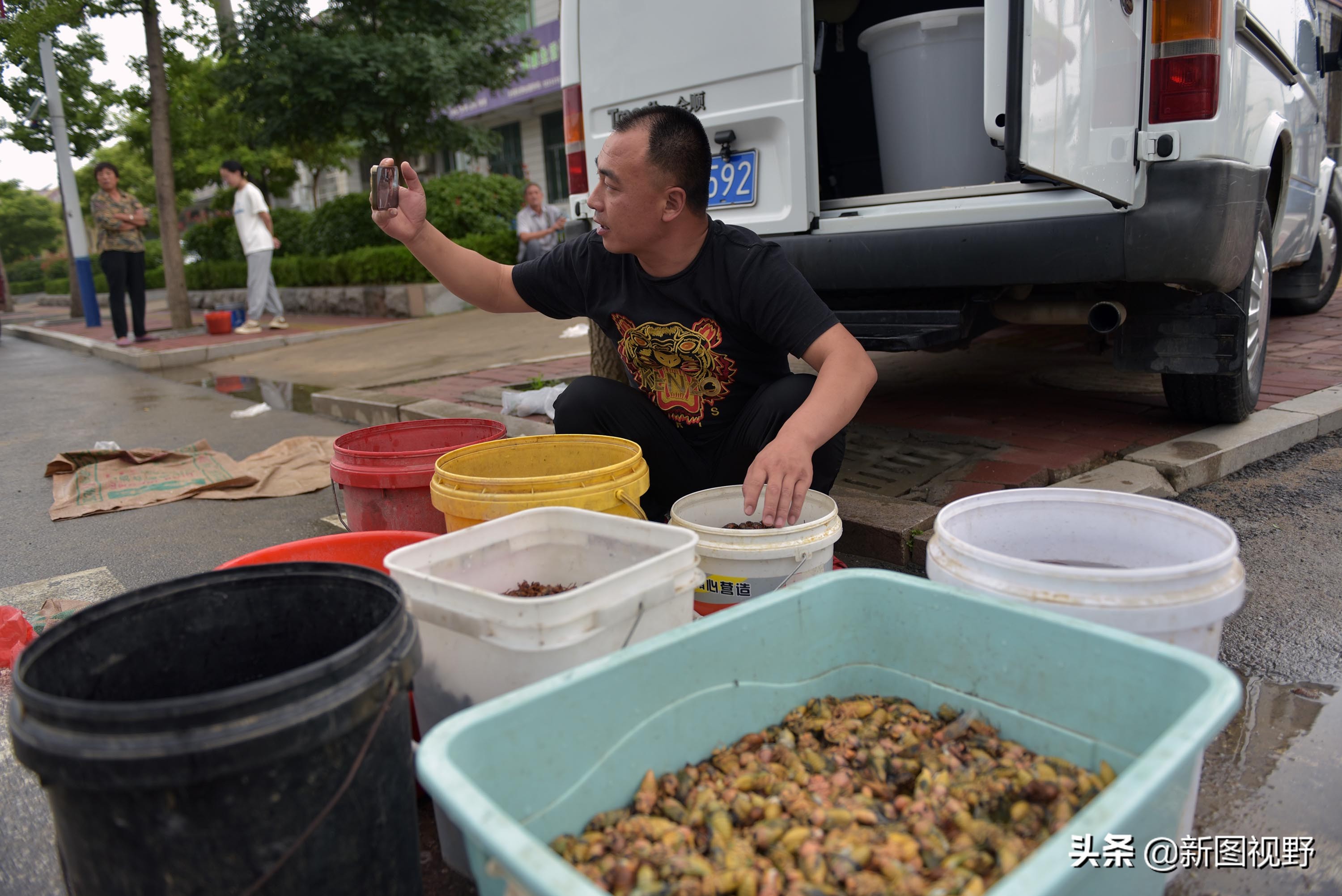 35岁青年网售金蝉爆单，有人一次买2000只，发快递忙得没时间吃饭