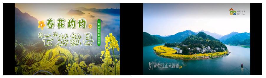 春花灼灼约会歙县以花传名，提升歙县文旅品牌新高度