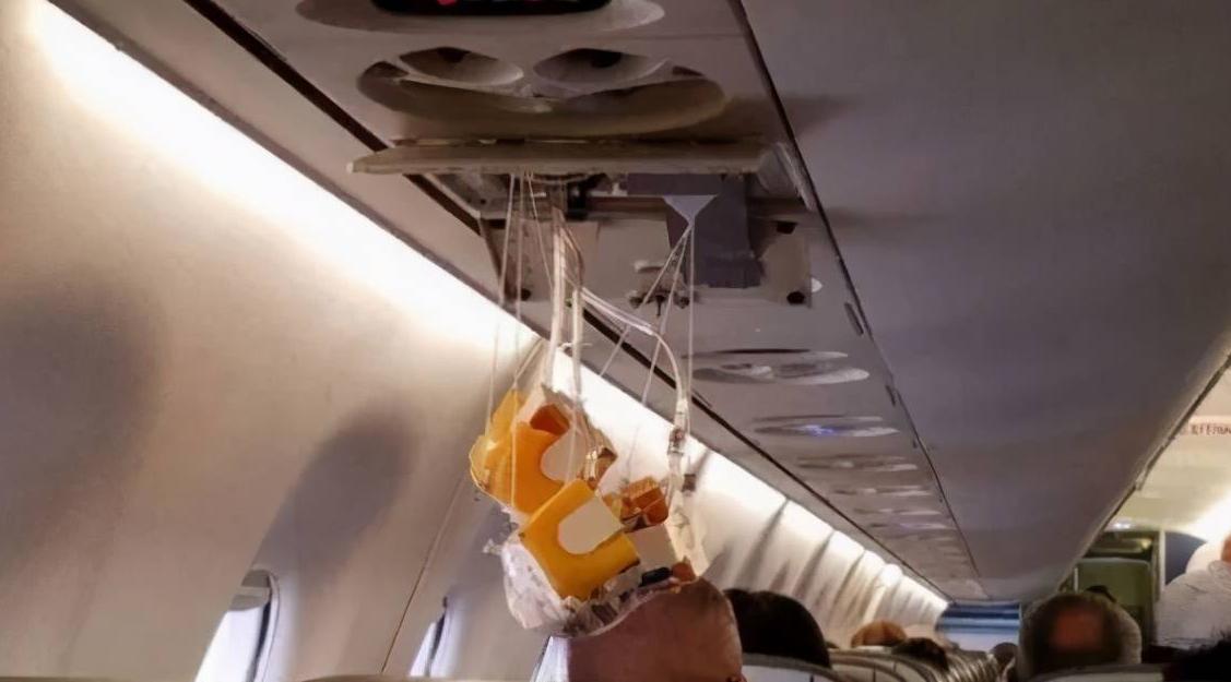 给小宠物戴氧气面罩,为什么大部分宠物都不能带进机舱