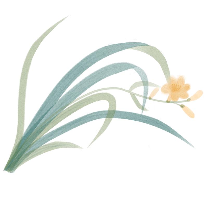 阿斯美复方甲氧那明胶囊消炎吗,阿斯美复方甲氧那明是抗生素药吗