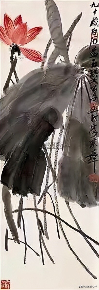 接天莲叶无穷碧映日荷花图片大全,莲叶无穷碧映日荷花别样红三幅图