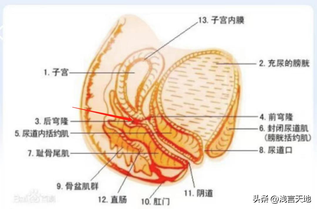 姑娘新婚夜出血险丧命,21岁姑娘结婚当天大出血